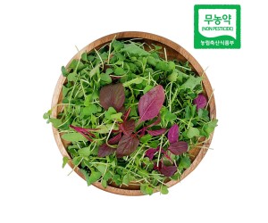 [맑은참]친환경 무농약 모듬베이비 어린잎채소 500g
